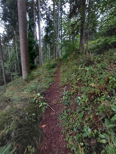 Nordrach - Mühlstein - Hasenberg