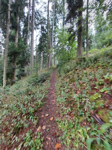 Nordrach - Mühlstein - Hasenberg