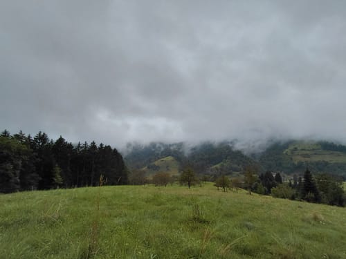 Nordrach - Mühlstein - Hasenberg