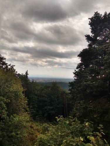 Burgenweg (Klingenmünster)