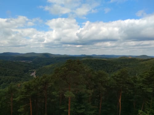 Burgenweg (Klingenmünster)