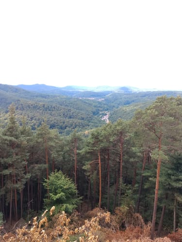 Burgenweg (Klingenmünster)