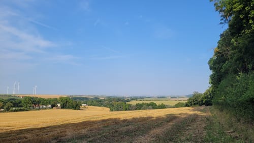 Schafau - Burgwenden - Heldrungen