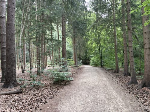 Schmalsee