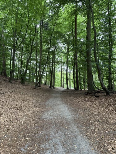 Schmalsee