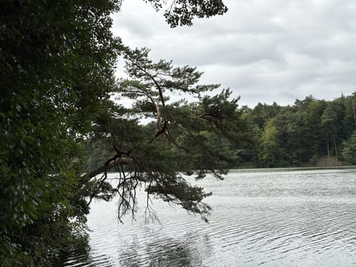 Schmalsee