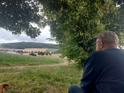 Weg der Sinne