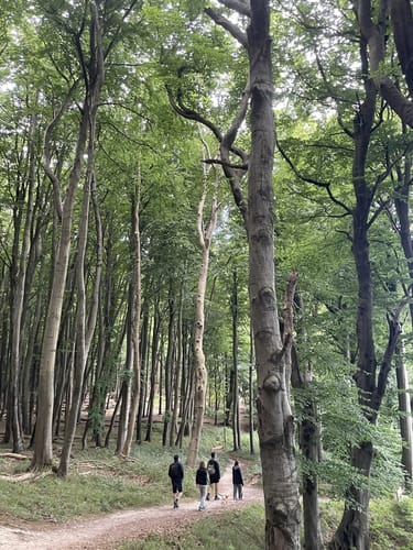 Ranzow - Königsstuhl - Hochuferweg