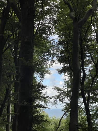Ranzow - Königsstuhl - Hochuferweg
