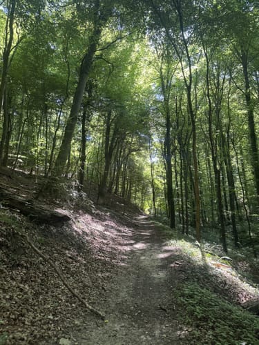 Durch die Ungeheuerklamm