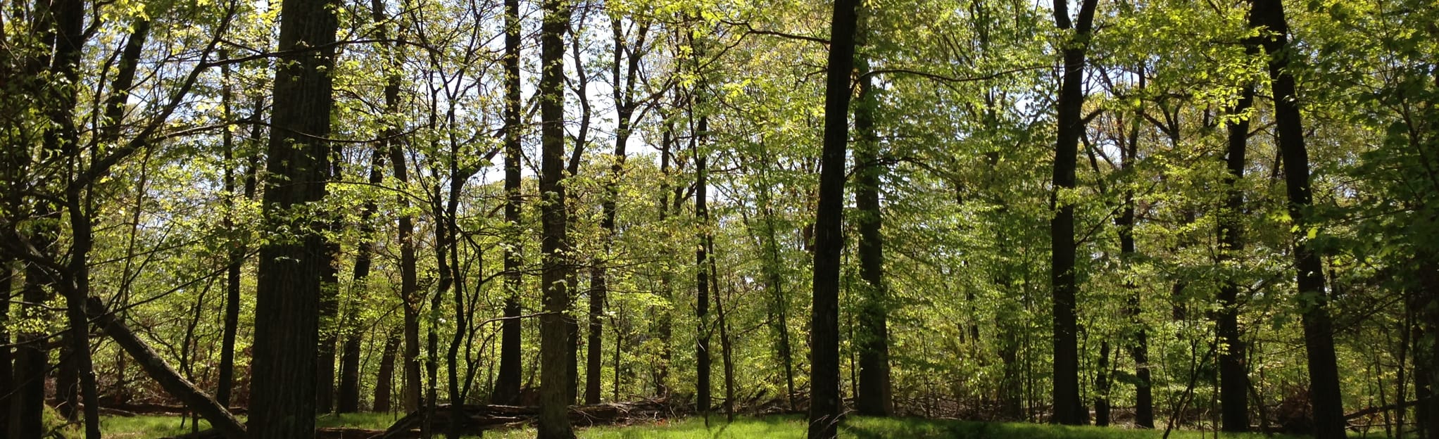 Rutgers Ecological Preserve Green and Orange Loop , New Jersey 1,014