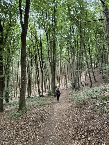 Rheinsteig Etappe 3: Bad Honnef - Linz