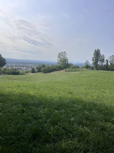 Über den Tüllinger Berg