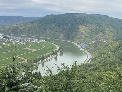 Burg Metternich via  Briederner Schweiz