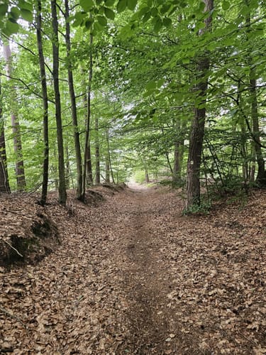 Naurath Rundweg
