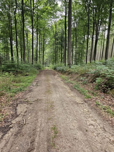 Naurath Rundweg