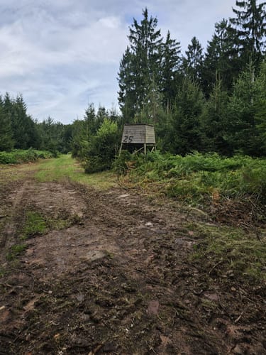 Naurath Rundweg