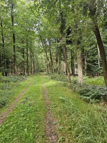 Naurath Rundweg