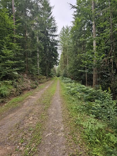 Naurath Rundweg