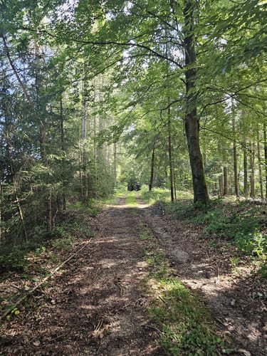 Naurath Rundweg