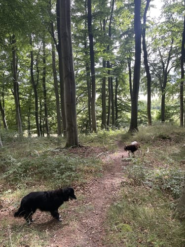 Ahnatal Rundweg 38