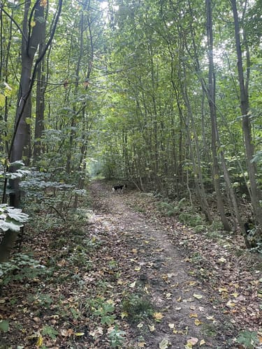 Ahnatal Rundweg 38