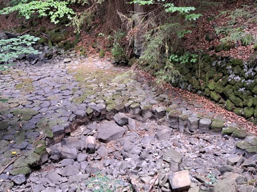 Rhön-Rundweg Hausen 6