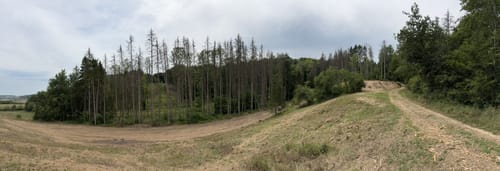 Dockendorf - Wolfsfeld (Naturpark Südeifel Wanderweg Nr. 89)