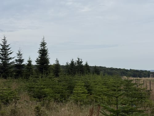 Dockendorf - Wolfsfeld (Naturpark Südeifel Wanderweg Nr. 89)