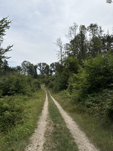 Dockendorf - Wolfsfeld (Naturpark Südeifel Wanderweg Nr. 89)