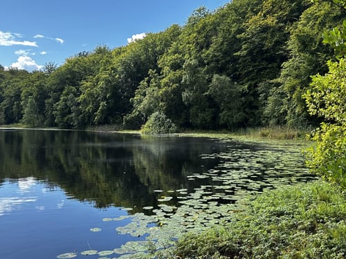 Hochuferwanderweg zum Schwarzen See und zum Jagdhaus Granitz