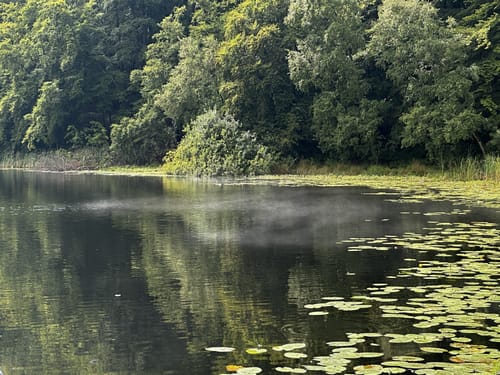 Hochuferwanderweg zum Schwarzen See und zum Jagdhaus Granitz