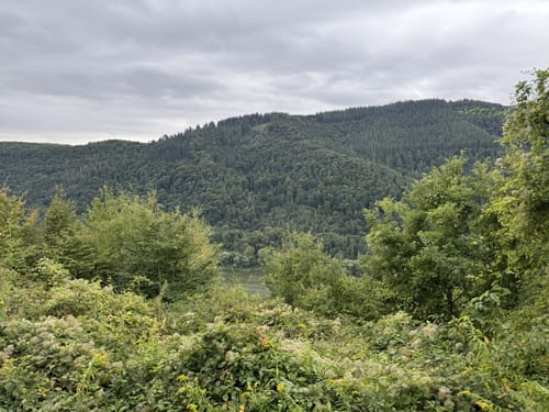 Von Sennhals nach Ediger