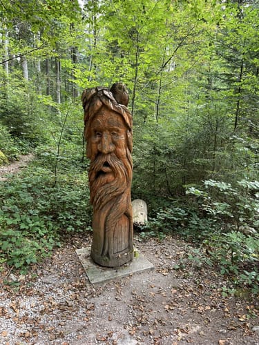 Tannenriesen (Premiumwanderweg)