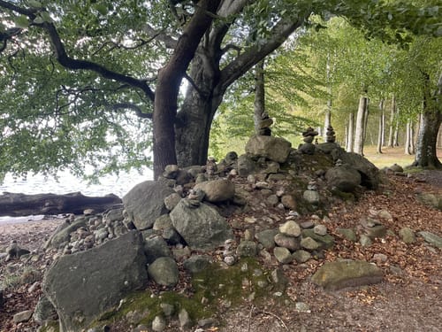 Schleirunde zwischen Büstorf und Stubbe