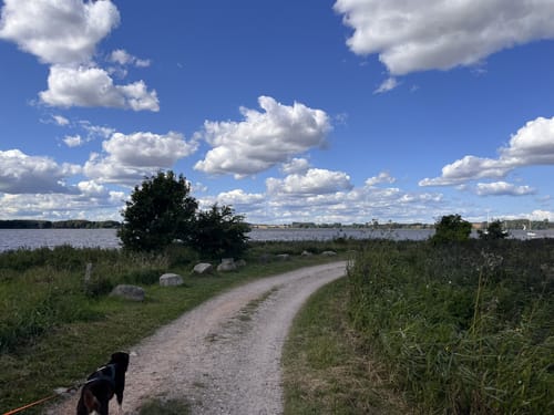 Schleirunde zwischen Büstorf und Stubbe
