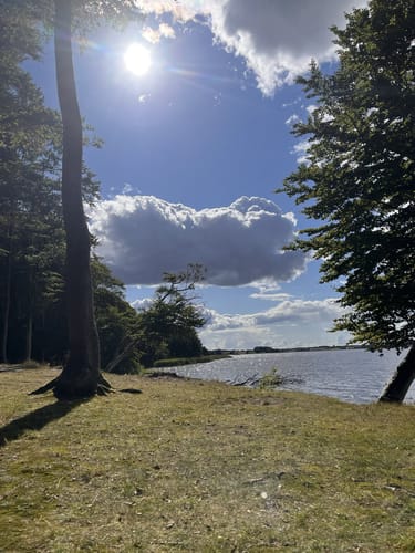 Schleirunde zwischen Büstorf und Stubbe