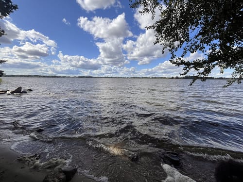 Schleirunde zwischen Büstorf und Stubbe