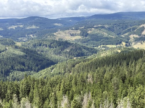 Rund um den Kickelhahn: Ilmenau - Naturpark Weg