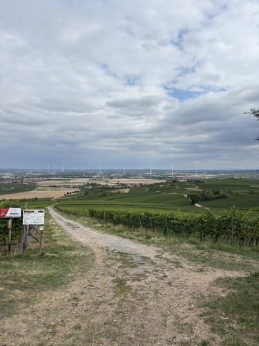 Heideblick (Hiwweltour)
