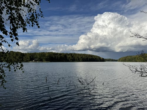 Um den Liepnitzsee