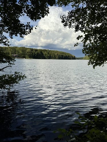 Um den Liepnitzsee