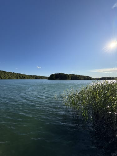 Um den Liepnitzsee