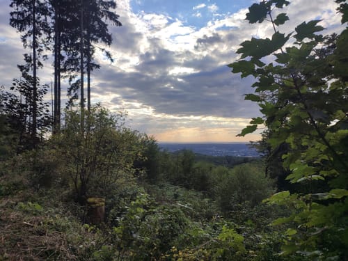 Löwenburg Rundweg