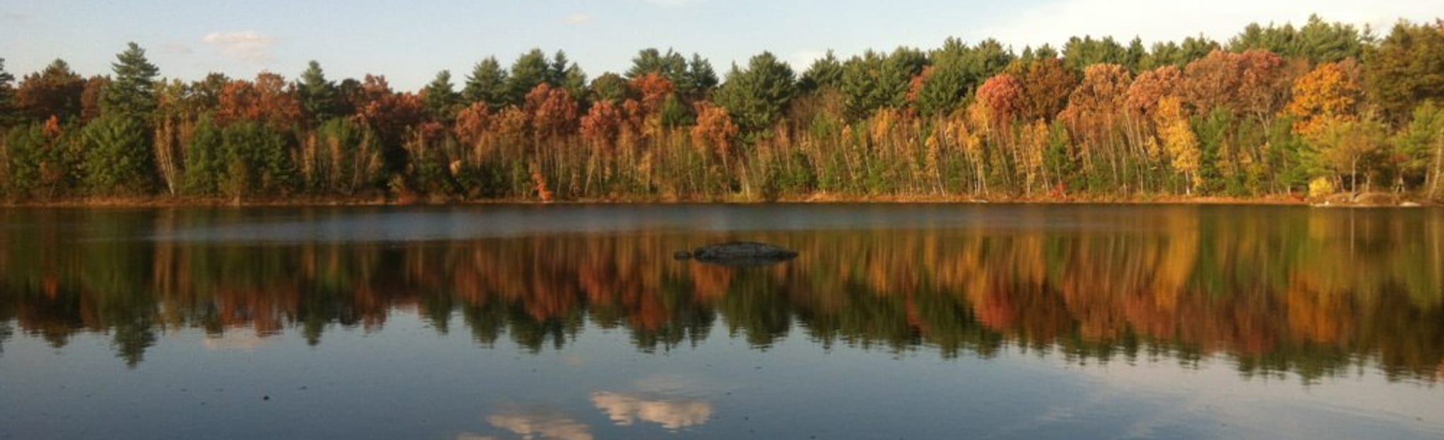 Kennedy Pond Loop Trail, Massachusetts 496 Reviews, Map AllTrails