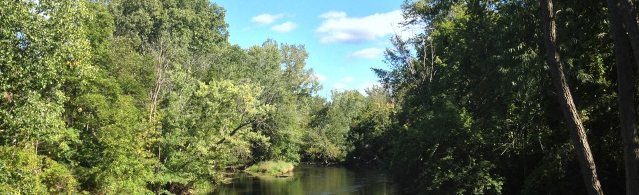 Thornapple River: 19 Reviews, Map - Michigan 