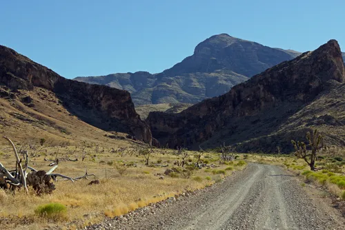 Best Hikes and Trails in Beaver Dam Wash National Conservation Area