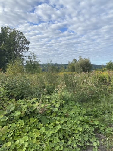 Elsebad Rundweg A7