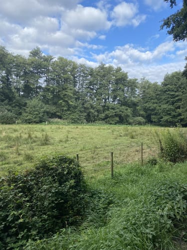 Elsebad Rundweg A7