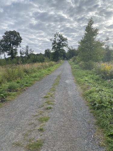 Elsebad Rundweg A7